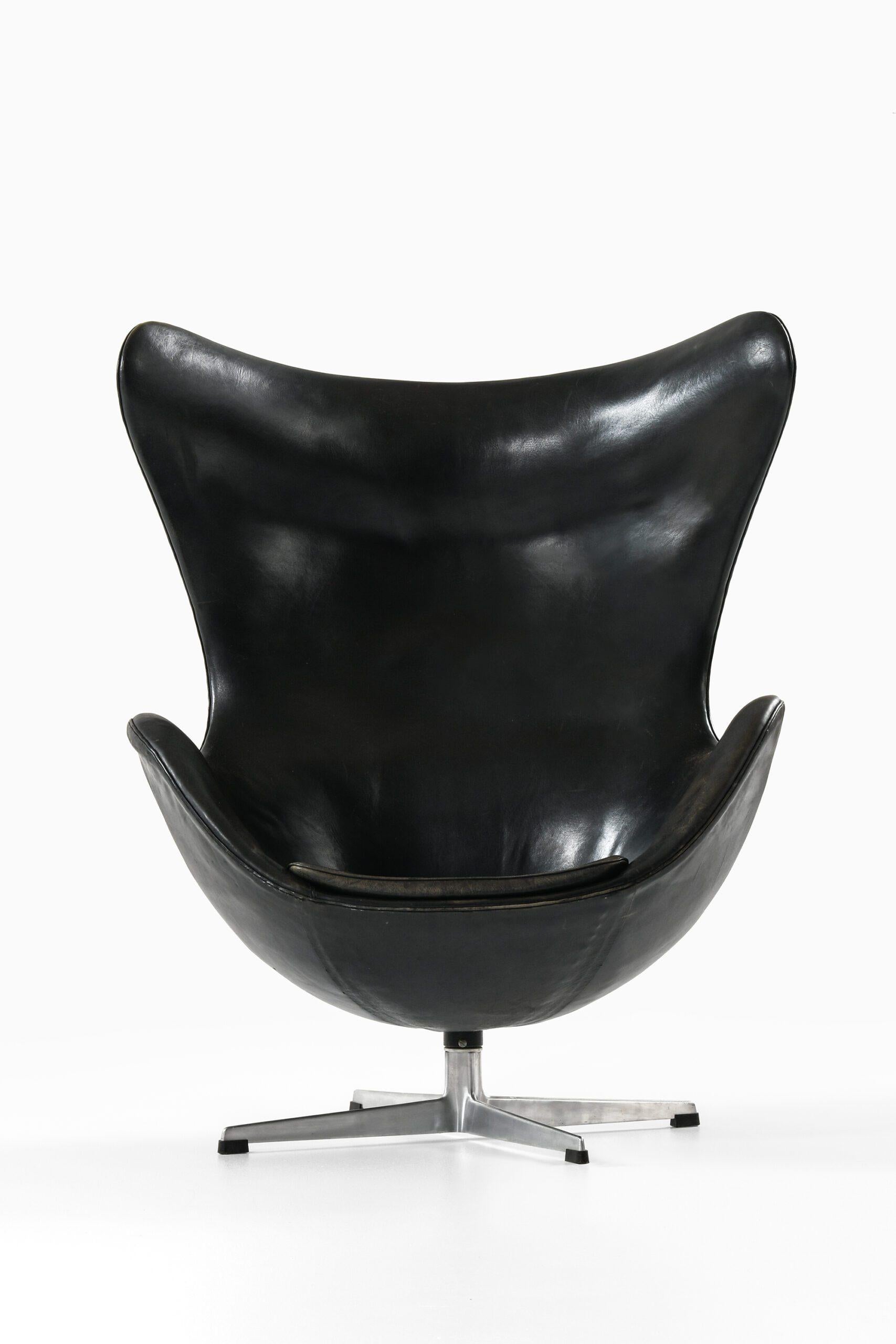 Egg Chair