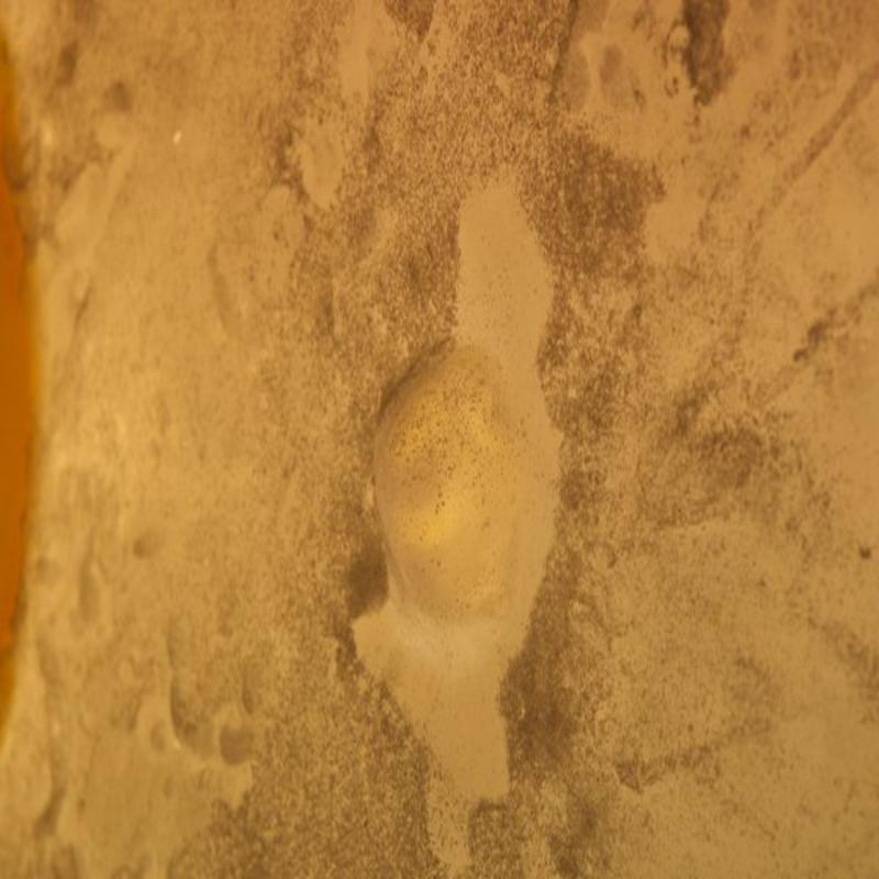 Egg Floor Lamp by Michel Froment For Sale 9