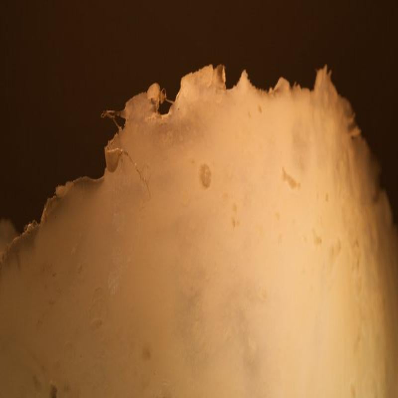 Egg Floor Lamp by Michel Froment For Sale 13