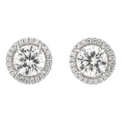 18k Gold More Earrings