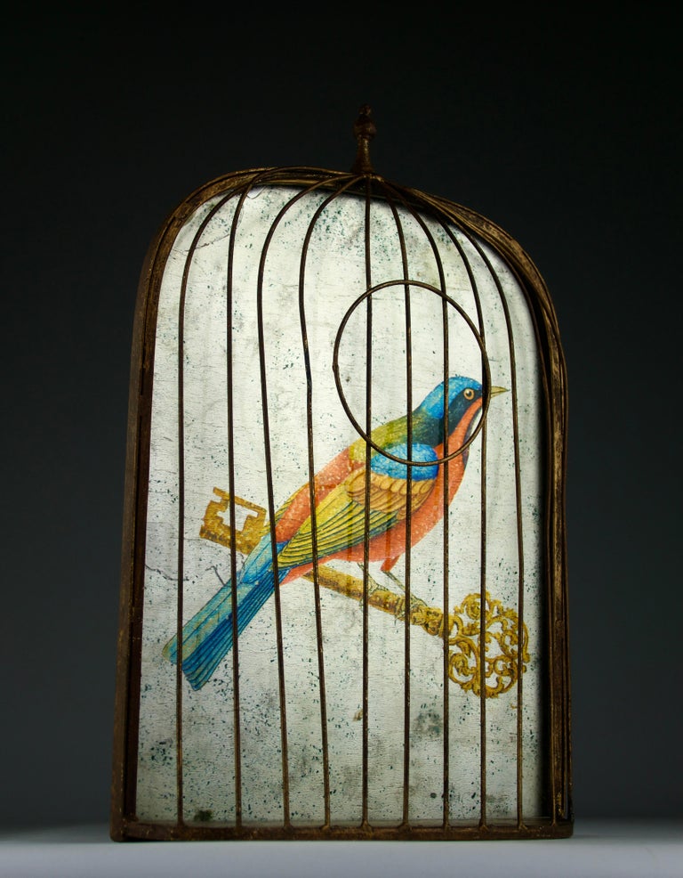 Curated France Hubby Waterproof Cage Bird Gallery View 51