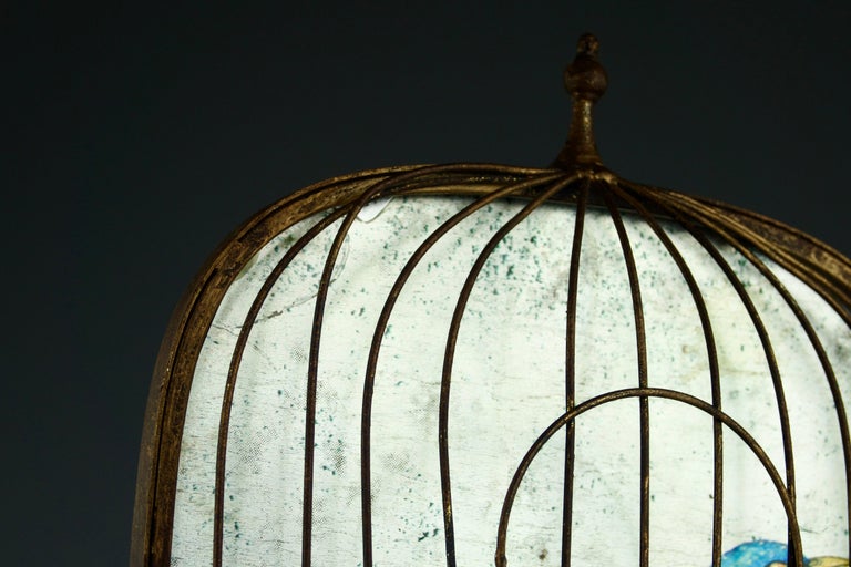Photo inspiration: Curated France Hubby Waterproof Cage Bird Gallery View 44