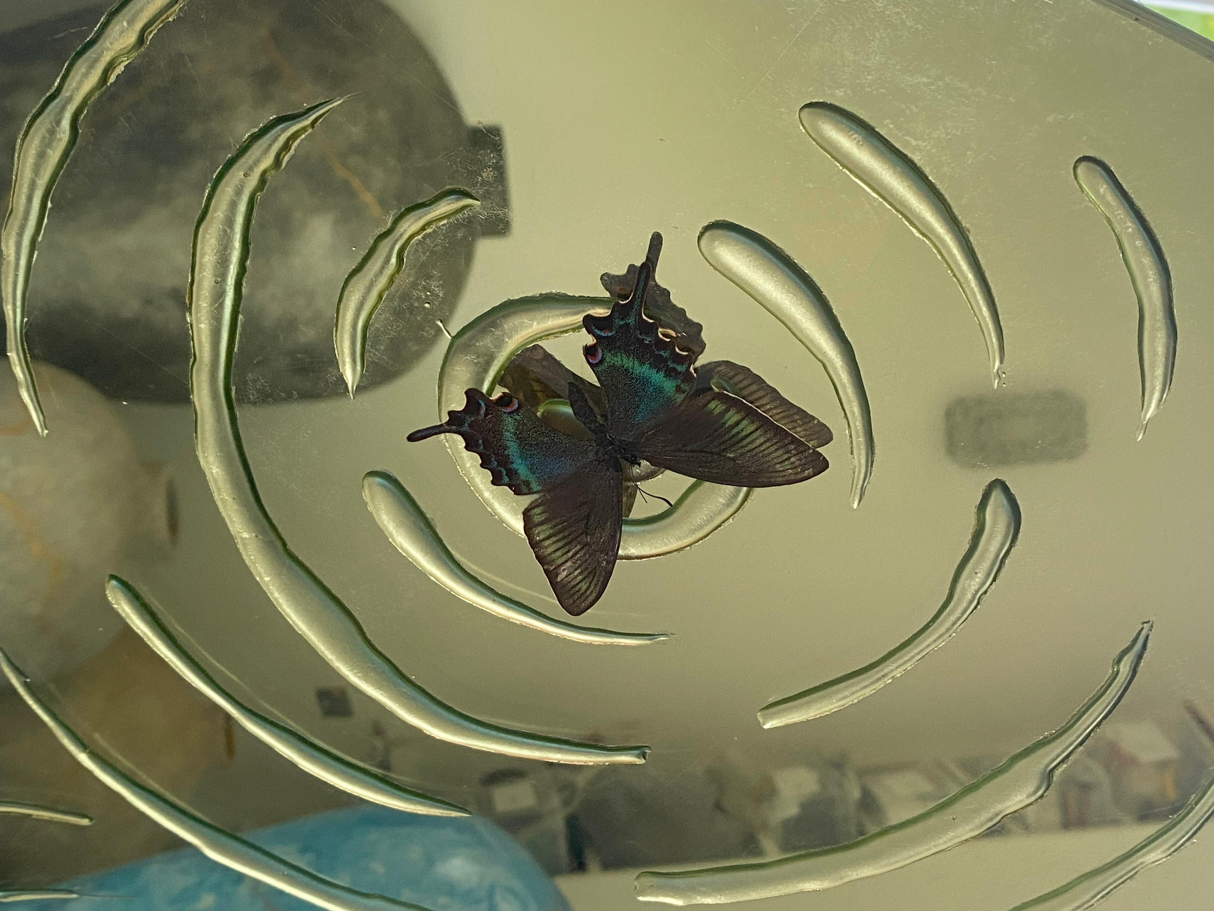 French Eglomised mirror with pure gold and real butterfly For Sale