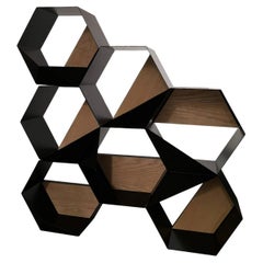 Ego Hexagonal Modular Shelving