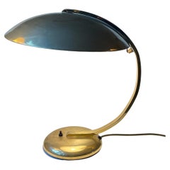 Egon Hillebrand Bauhaus Desk Lamp in Brass, 1940s