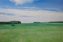 Peinture à l'huile "En été" 67" x 98" inch par Egor Plotnikov