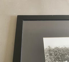 Egypt 1950 Black and White Sahara Desert Photographs in Contemporary Frame