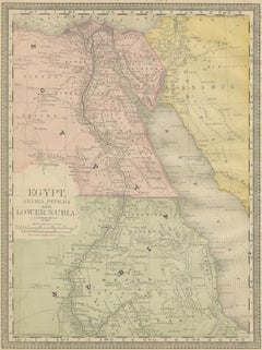 Egitto e Bassa Nubia - Elegante mappa antica del Nilo, 1888 ca.