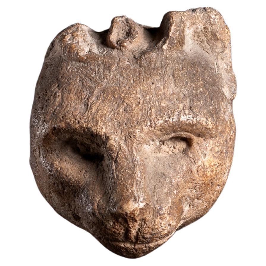 Egyptian Cat head Carved in Fossil Limestone For Sale