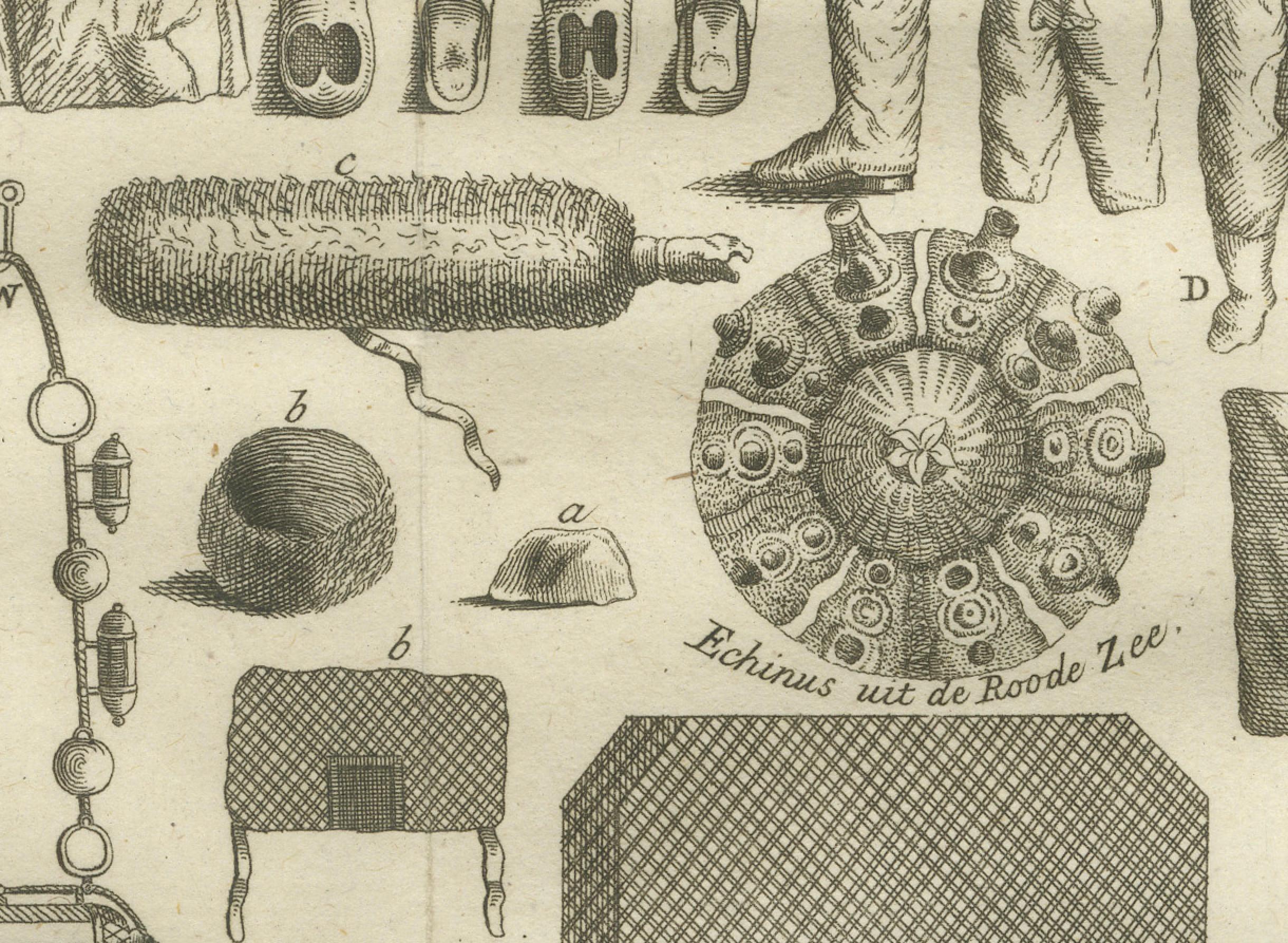 18th Century Egyptian Dress, Jewelry & Camel Transport – Antique Print of Egypt, 18th c. For Sale