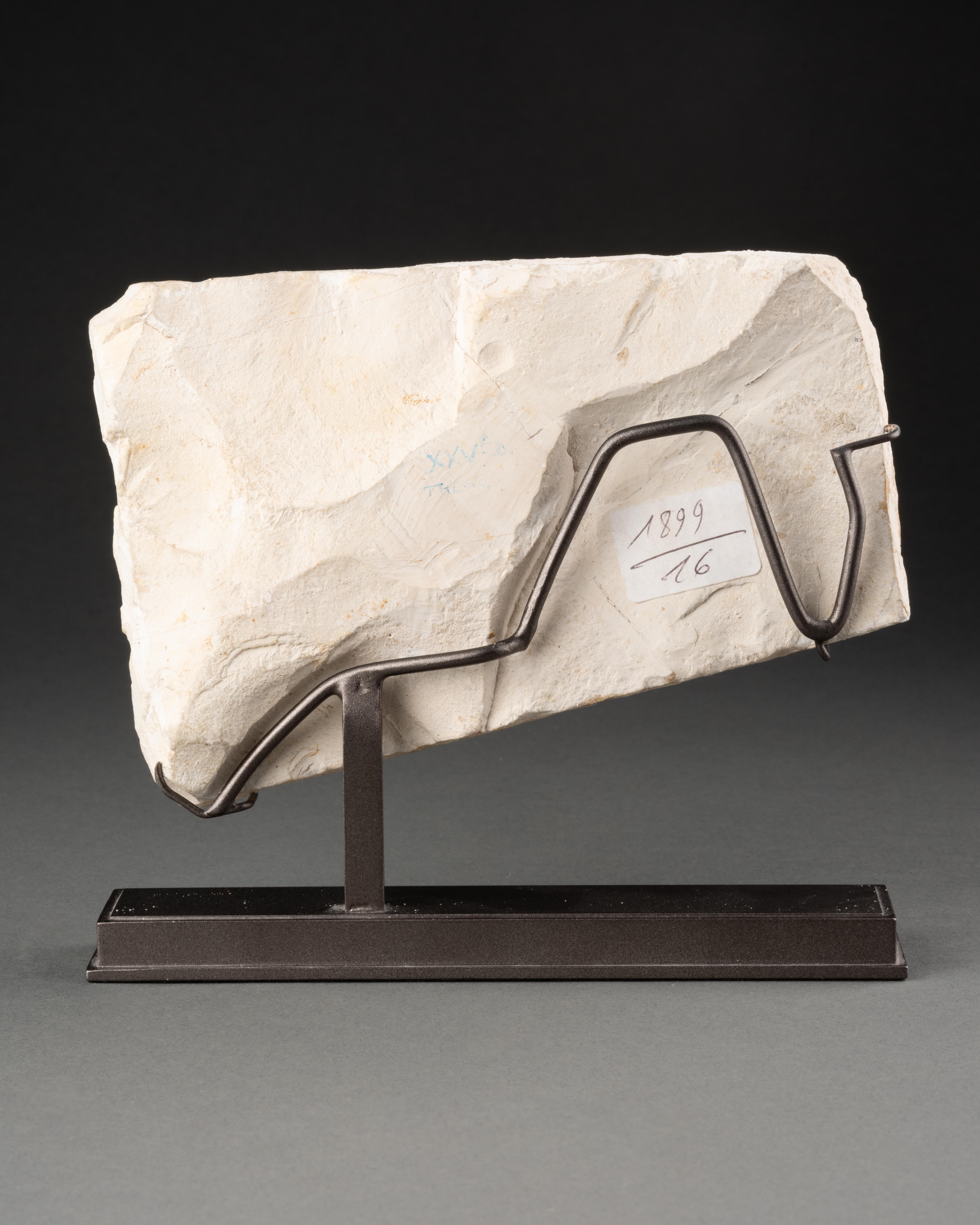 Fragmento egipcio de un hombre sentado - Antiguo Egipto, 26ª dinastía (664-525 a.C.) Tallado en venta