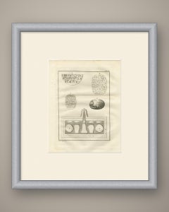 Egyptian Hieroglyphic Inscriptions and a Scarab, Antique Niebuhr Print, 1776