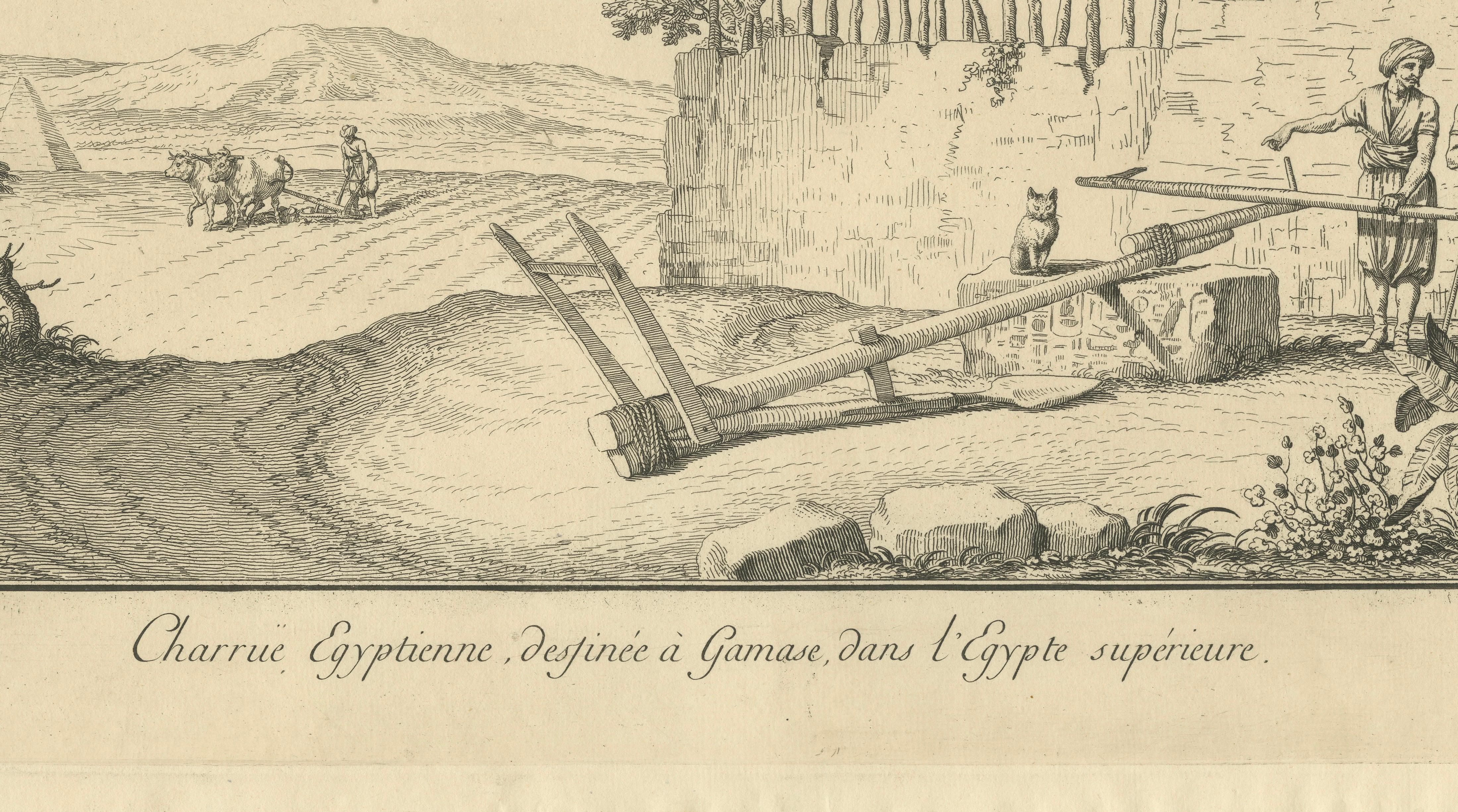 Egyptian Ploughing Scene at Gamase, Upper Egypt – Norden Engraving 1755
