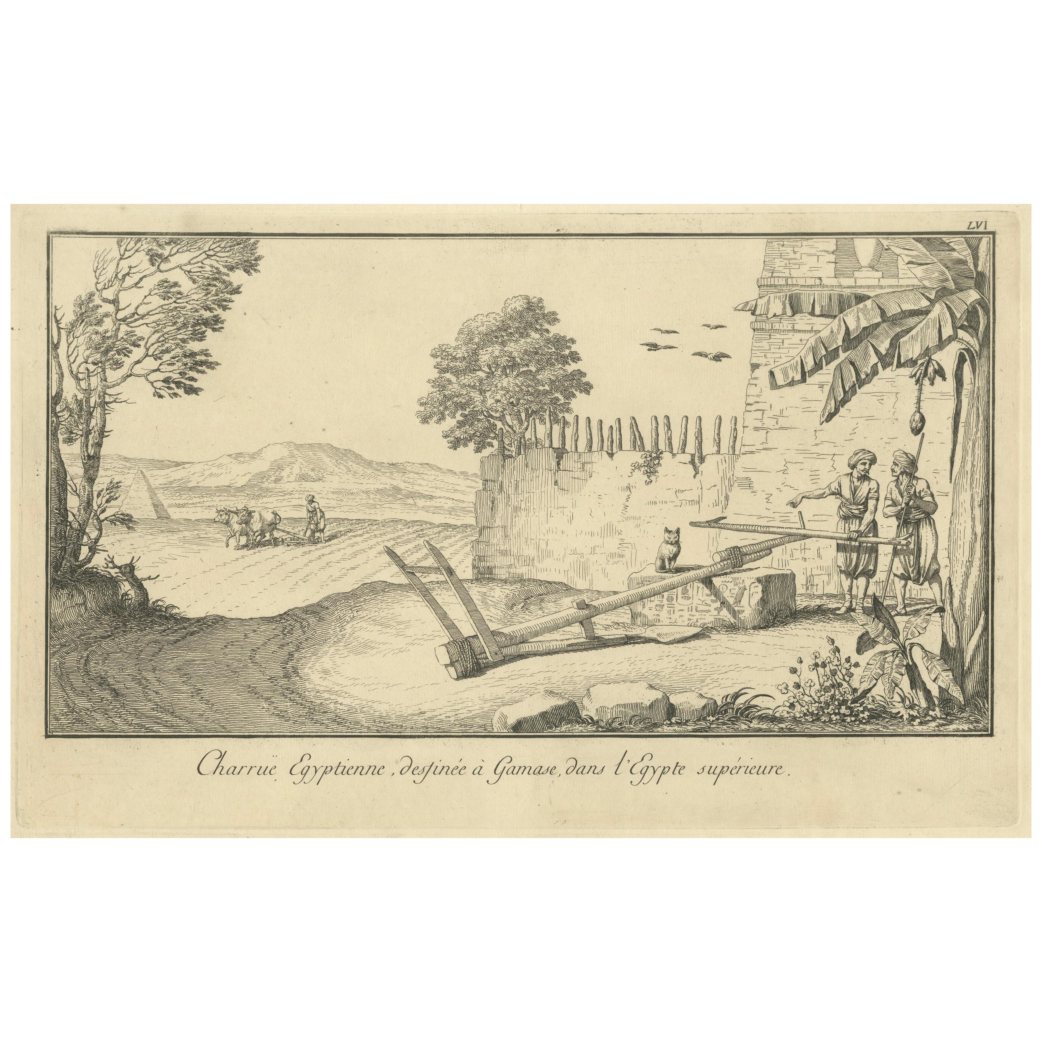 Egyptian Ploughing Scene at Gamase, Upper Egypt – Norden Engraving 1755 For Sale