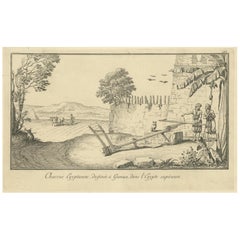 Egyptian Ploughing Scene at Gamase, Upper Egypt – Norden Engraving 1755