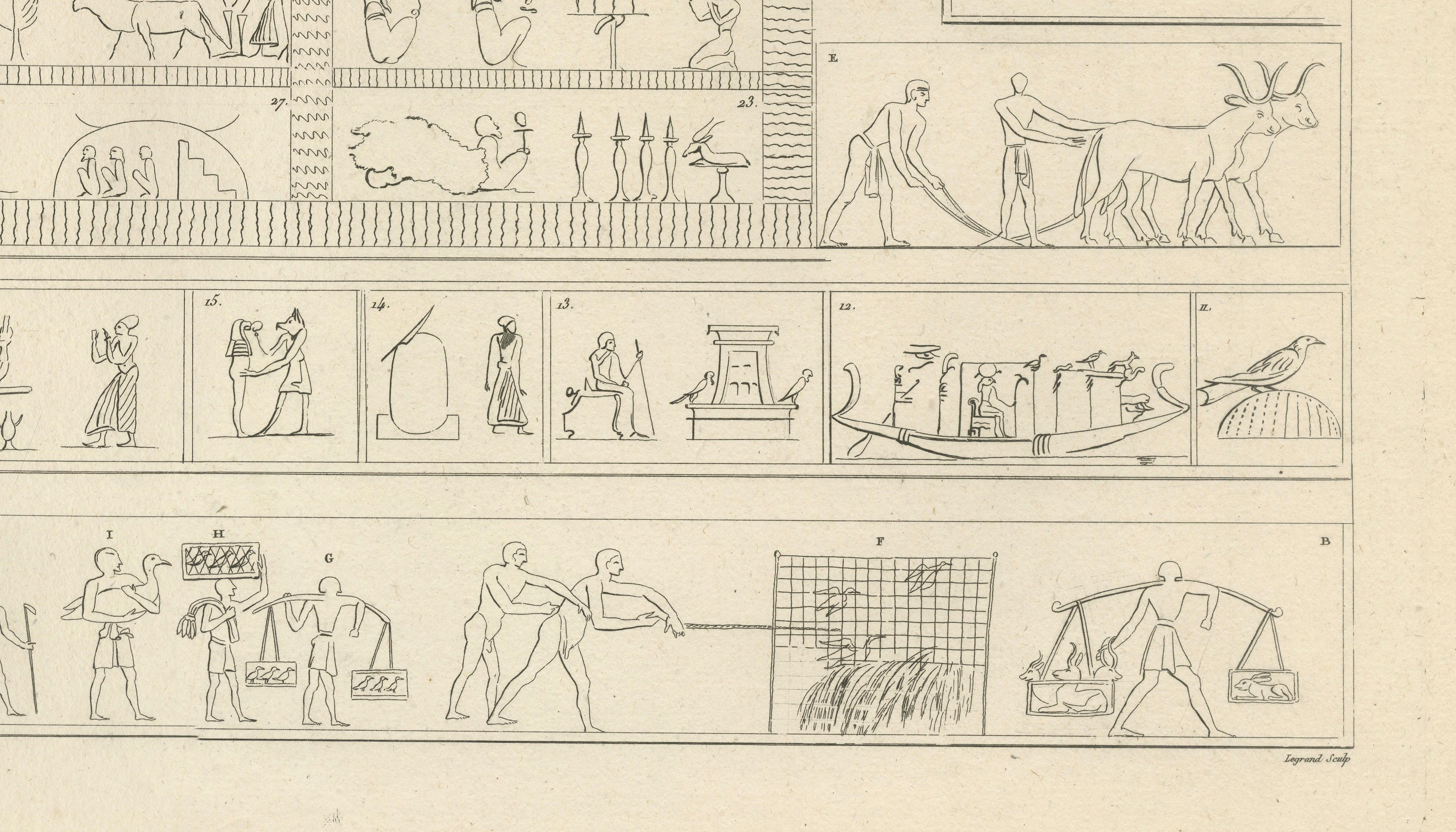 Egyptian Processions & Daily Life Reliefs, Denon Napoleonic Egypt Engraving 1802