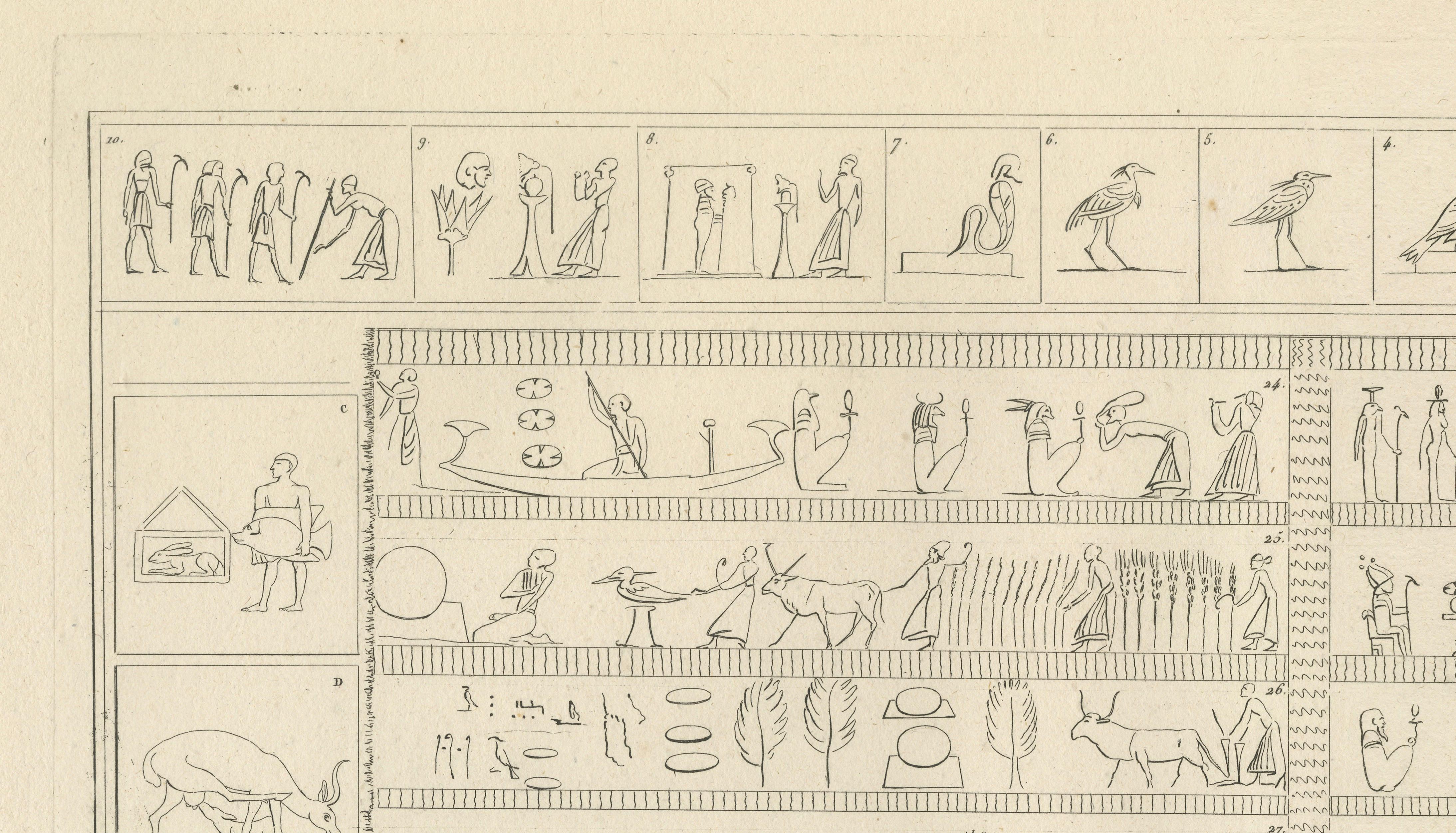 Egyptian Processions & Daily Life Reliefs, Denon Napoleonic Egypt Engraving 1802