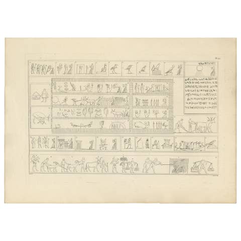 Egyptian Processions & Daily Life Reliefs, Denon Napoleonic Egypt Engraving 1802