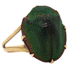 Anello stile scarabeo egiziano revival in oro 14 carati e vero scarabeo