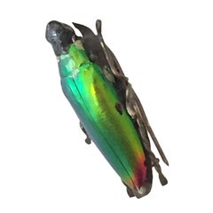 Egyptian Revival Beetle Brooch, circa 1900