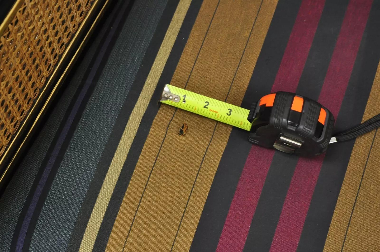 Tissu Revive égyptien Régence noir ébonisé doré Chaises à trône à tête de lion - Paire en vente