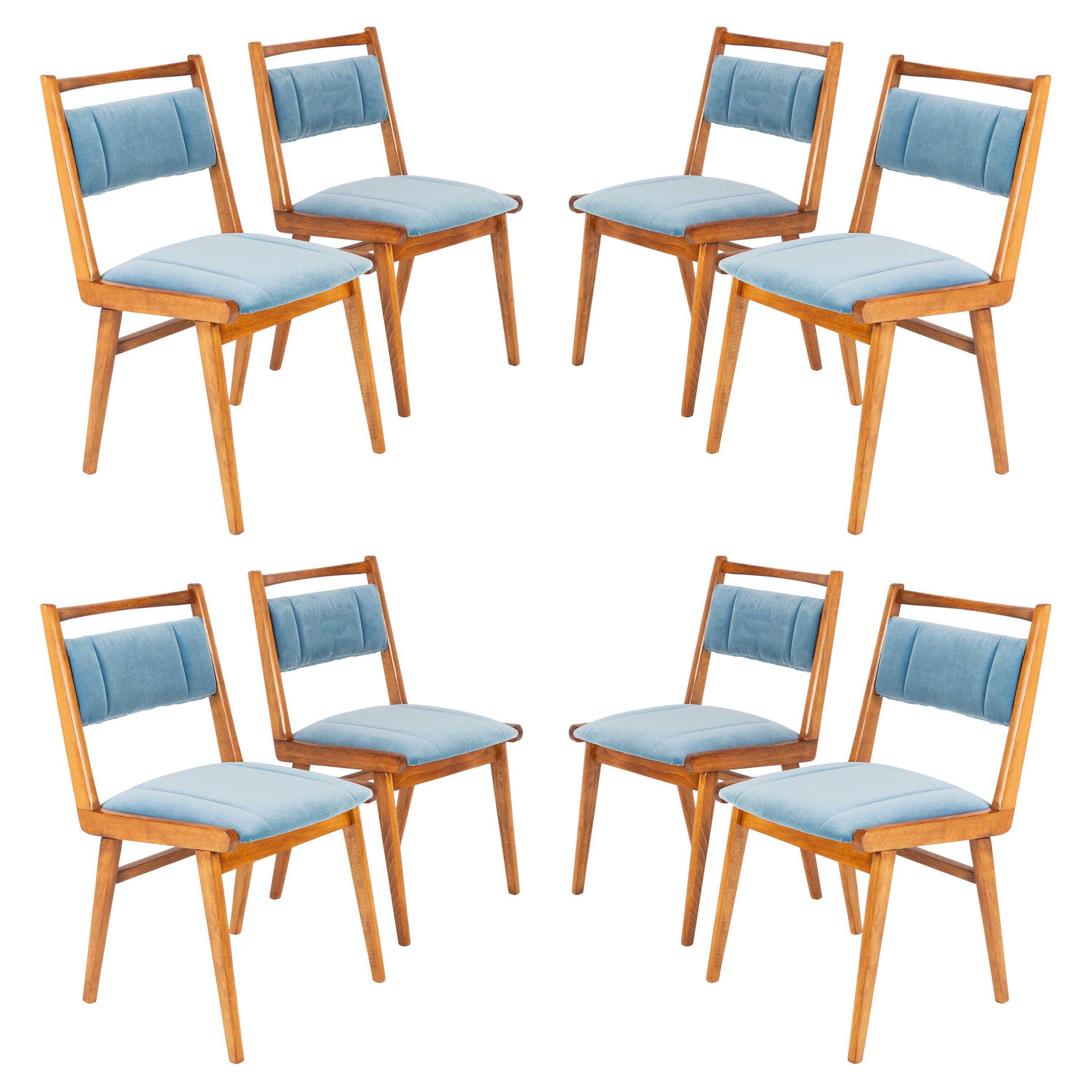 Huit chaises en velours bleu du XXe siècle, Pologne, années 1960