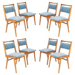 Eight 20th Century Blue Velvet Chairs, Poland, 1960s