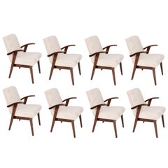 Eight 20th Century Used Light Cream Armchairs by Mieczyslaw Puchala, 1960s