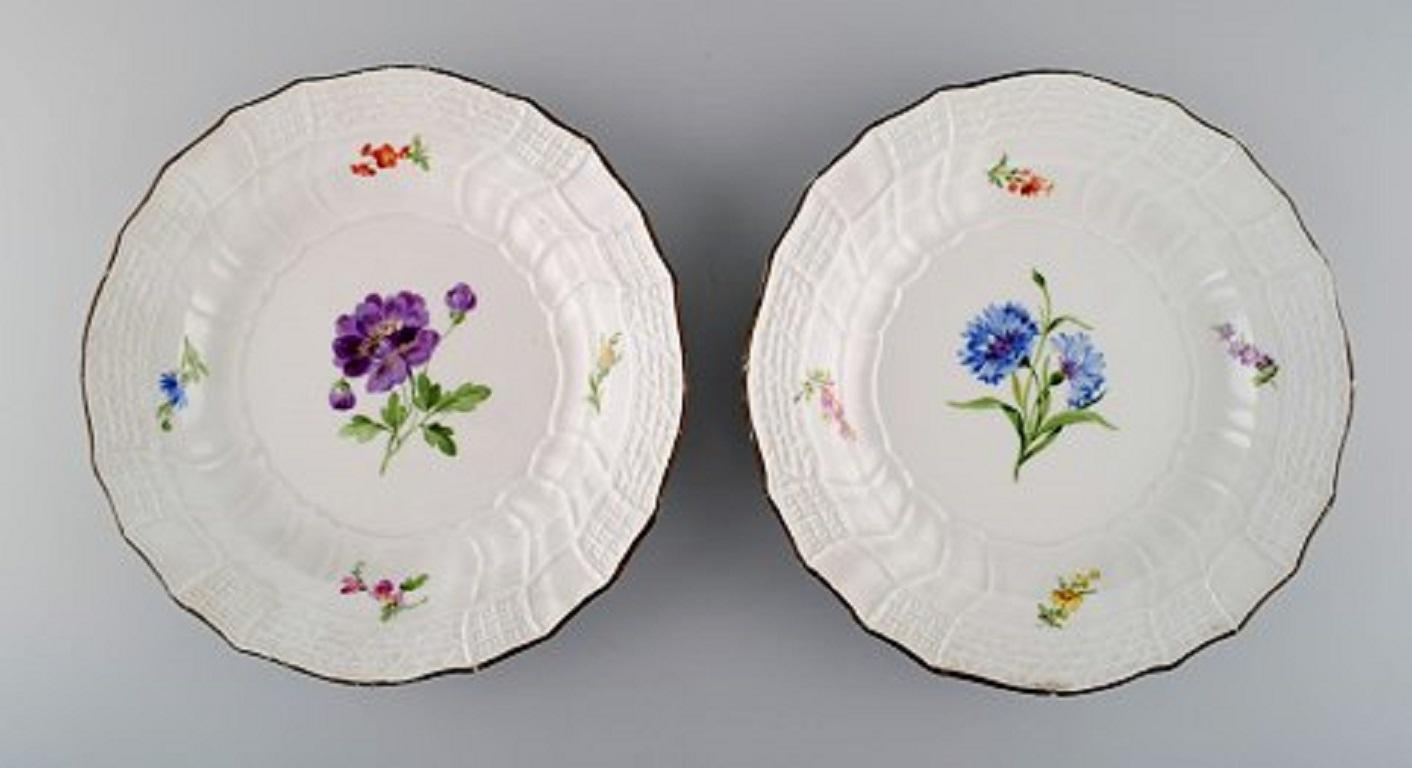 German Eight Antique Meissen Plates in Hand Painted Porcelain with Floral Motifs