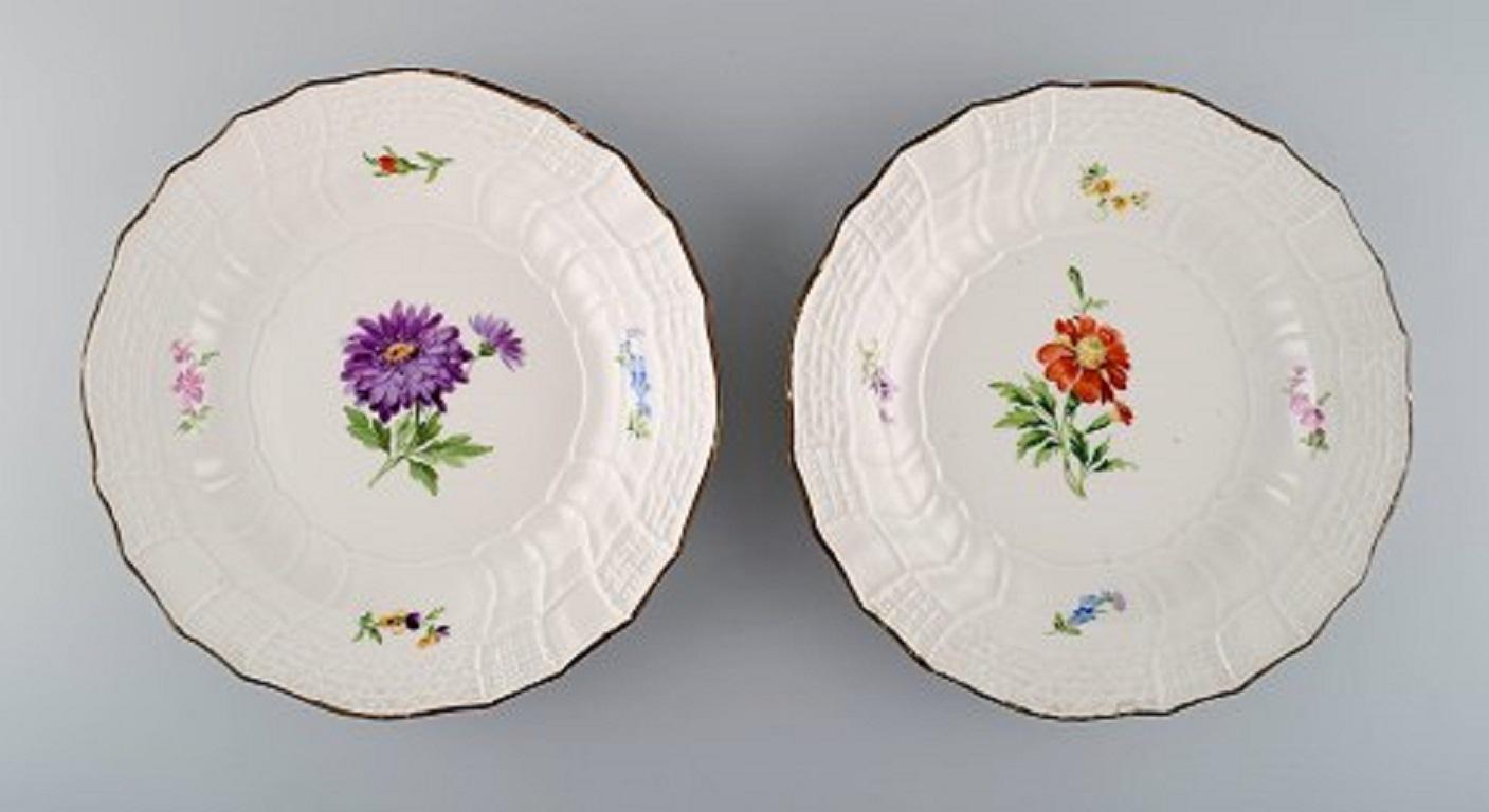 Eight Antique Meissen Plates in Hand Painted Porcelain with Floral Motifs In Good Condition In Copenhagen, DK