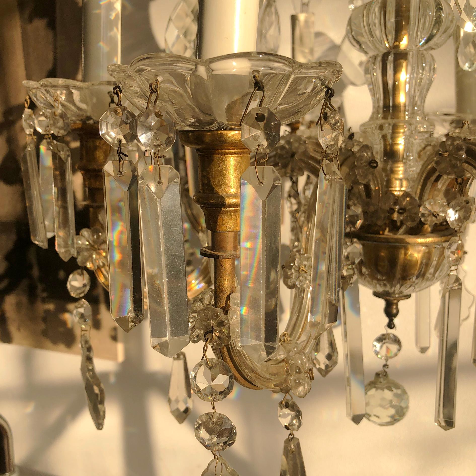 Eight Arm Maria Theresa Crystal Chandelier, Hungary or Austria, 1900s For Sale 3