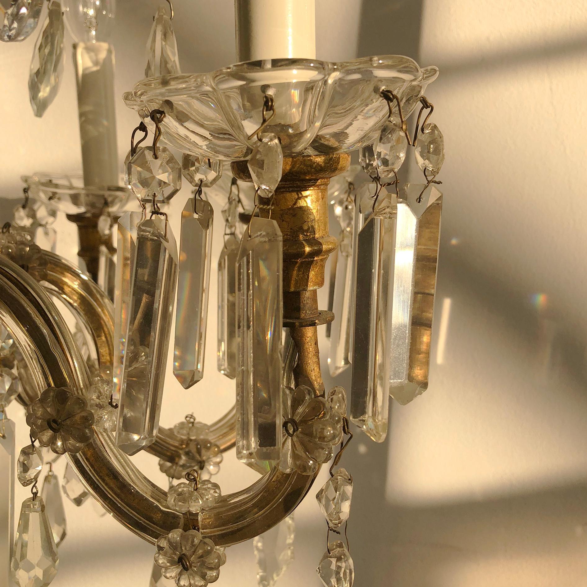 Eight Arm Maria Theresa Crystal Chandelier, Hungary or Austria, 1900s For Sale 1