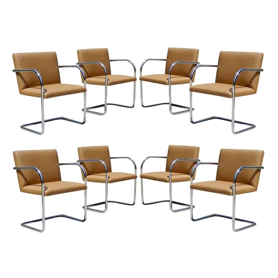 Eight Chrome and Camel Colored Mies van der Rohe Tubular Brno Chairs by Knoll