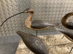 Eight Curlews by Guy Taplin