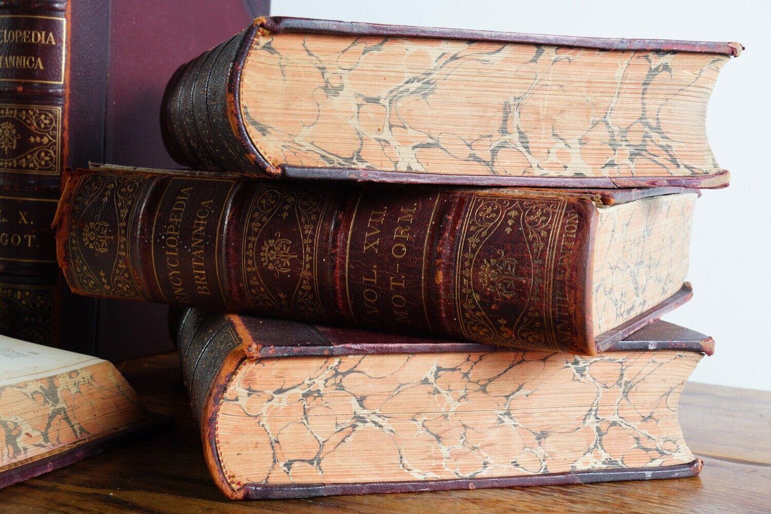Acht dekorative, ledergebundene Vitrinenbücher aus dem 19. Jahrhundert im Zustand „Gut“ im Angebot in STOKE ON TRENT, GB