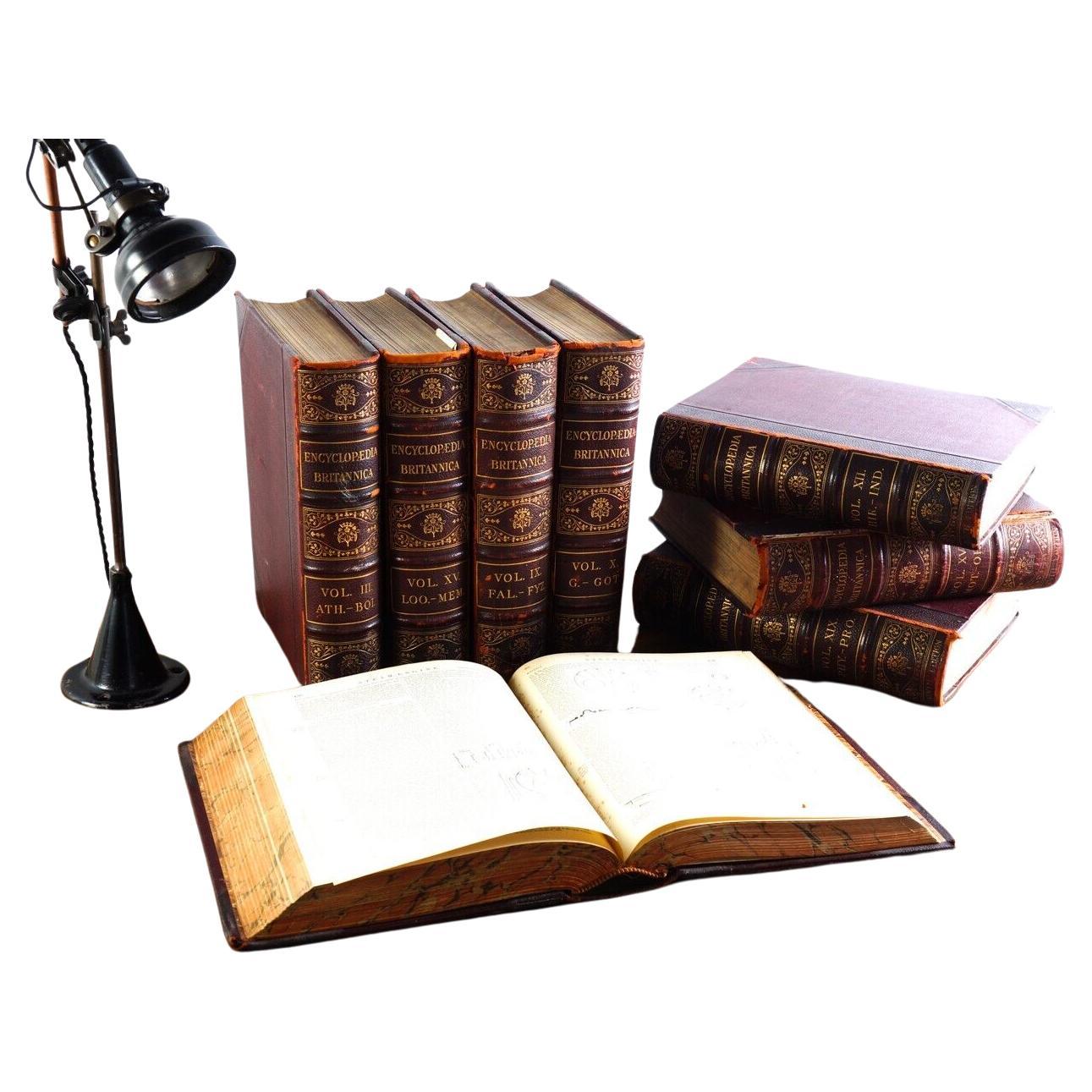 Eight Decorative 19th Century Antique Leather Bound Display Books For Sale