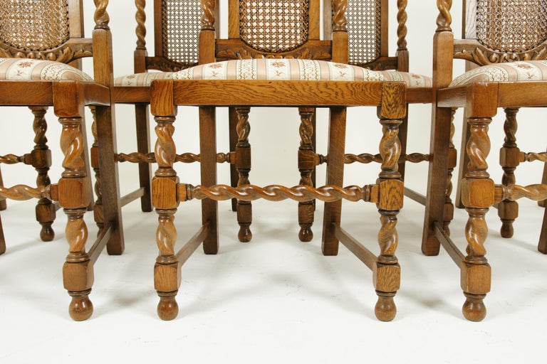 Eight Dining Chairs, Cane Back Chairs, Barley Twist Chairs, Scotland