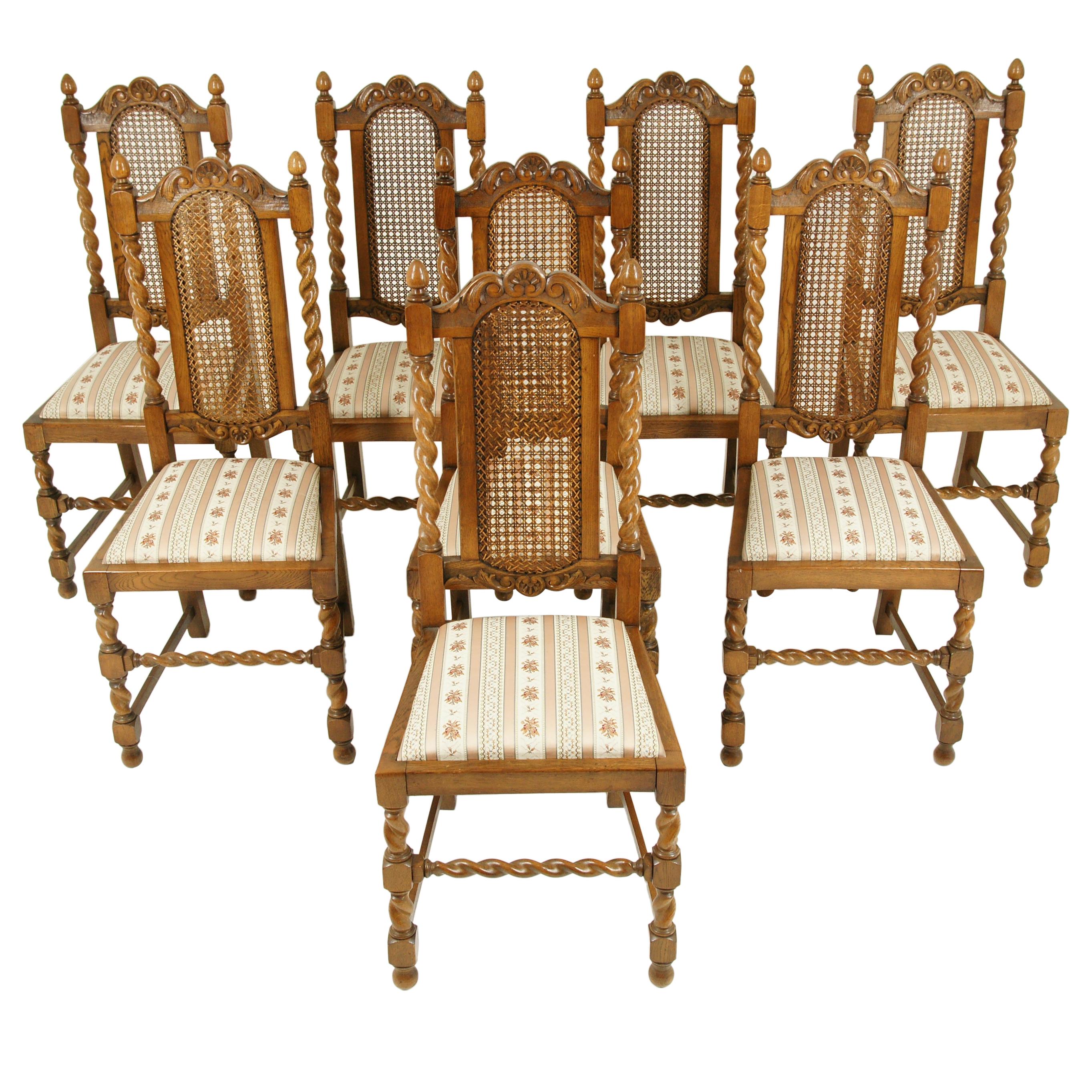 Eight Dining Chairs, Cane Back Chairs, Barley Twist Chairs, Scotland, 1920