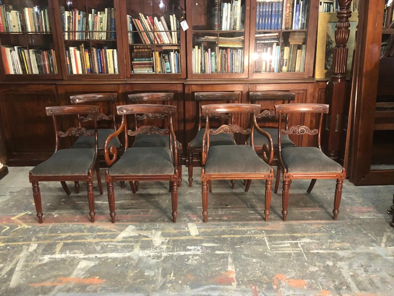 Eight English Regency Period Mahogany Dining Chairs, Early 19th Century In Good Condition For Sale In Charleston, SC