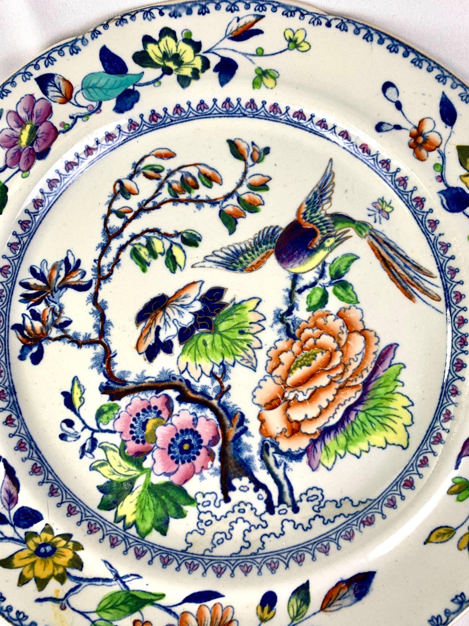 Eight Flying Bird Dinner Plates Made by Davenport England Circa 1840 7