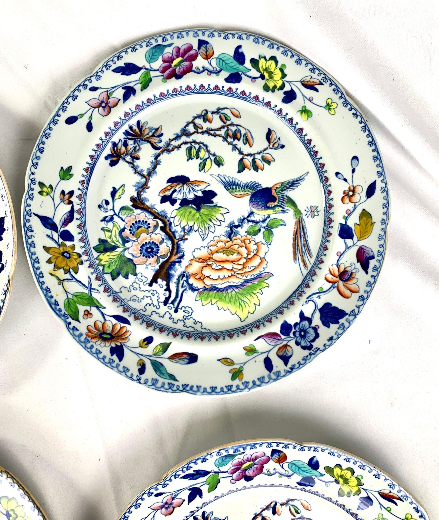 Eight Flying Bird Dinner Plates Made by Davenport England Circa 1840 4