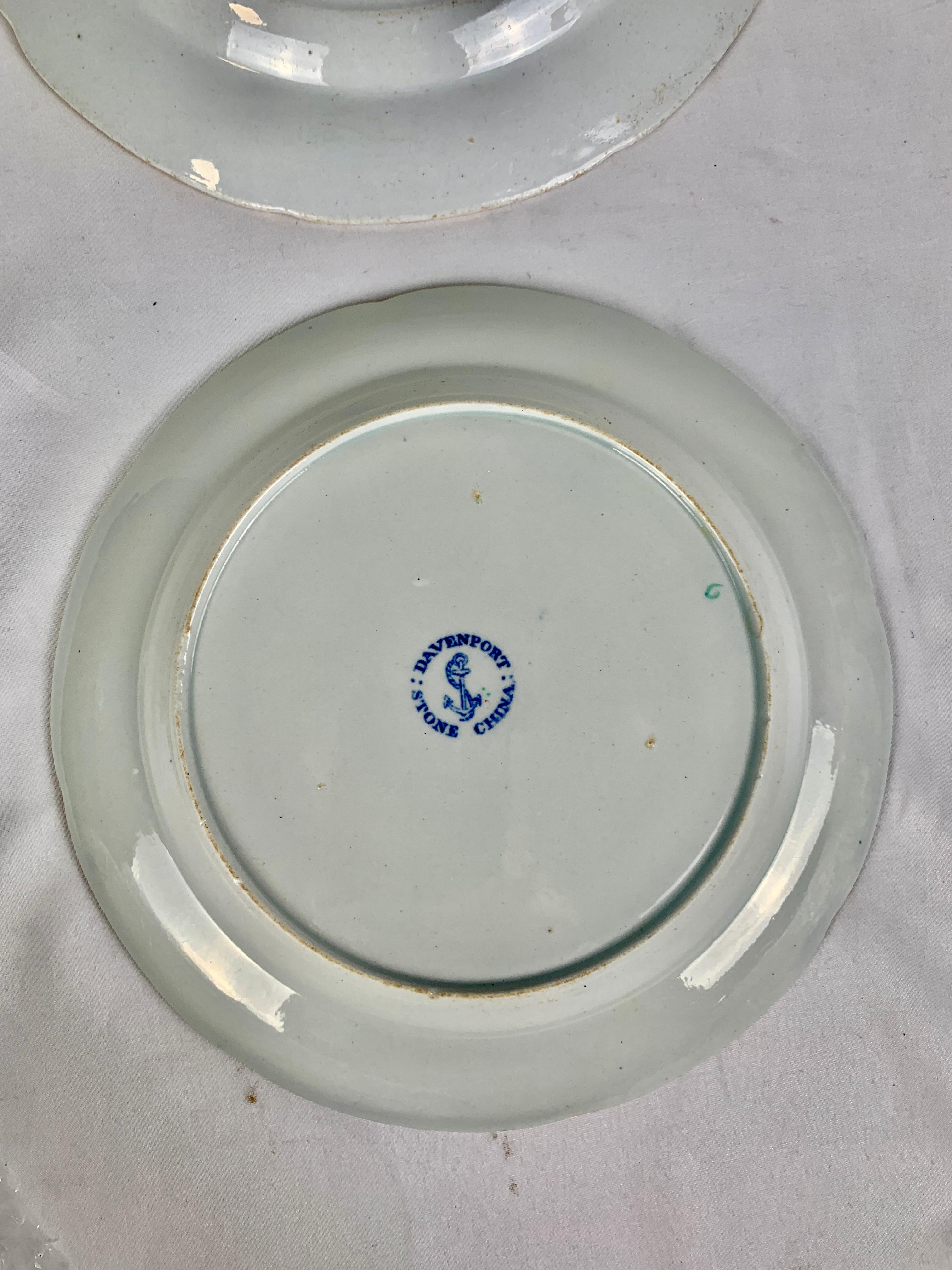 Eight Flying Bird Plates by Davenport England Circa 1840 4