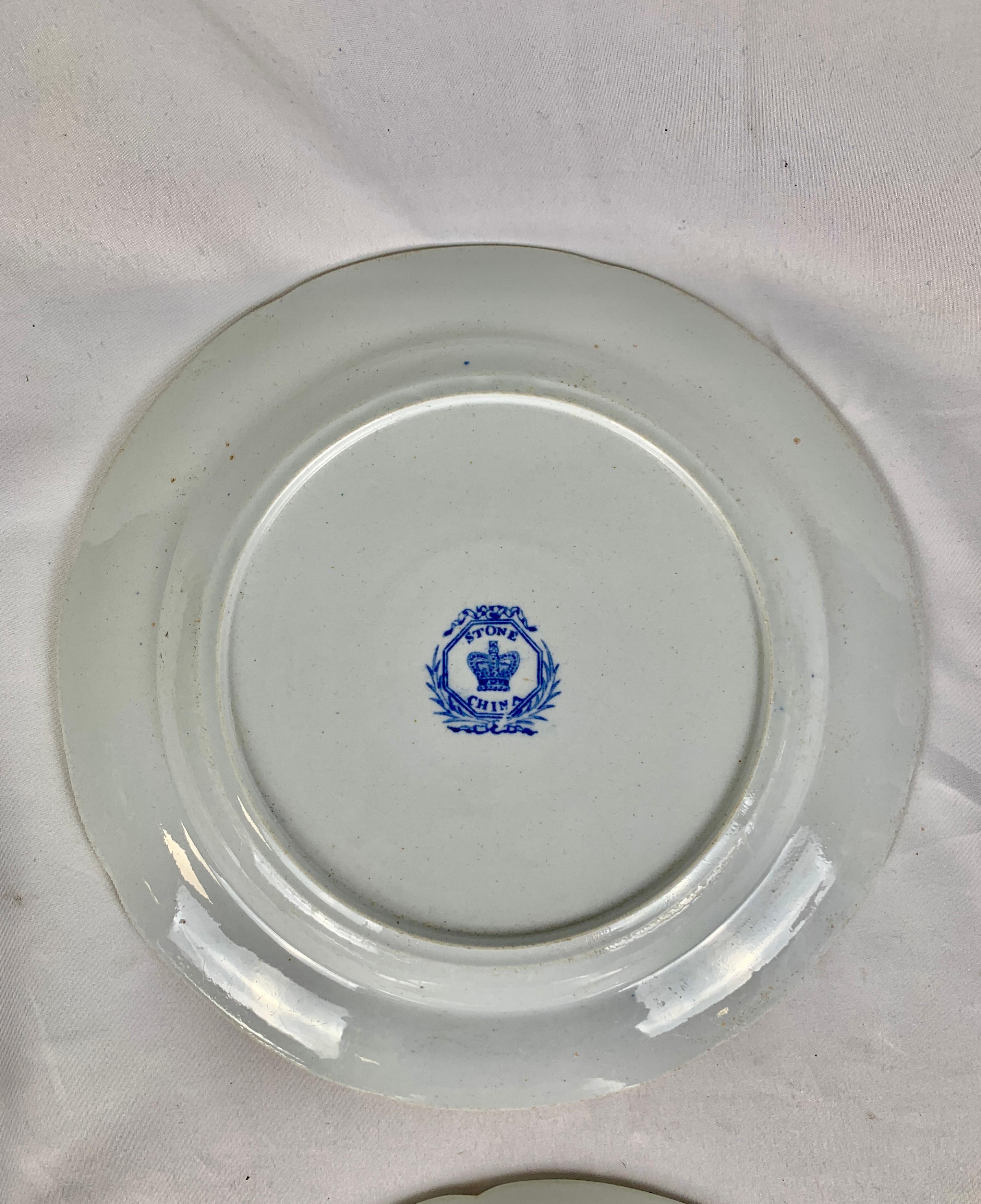 Eight Flying Bird Plates by Davenport England Circa 1840 5