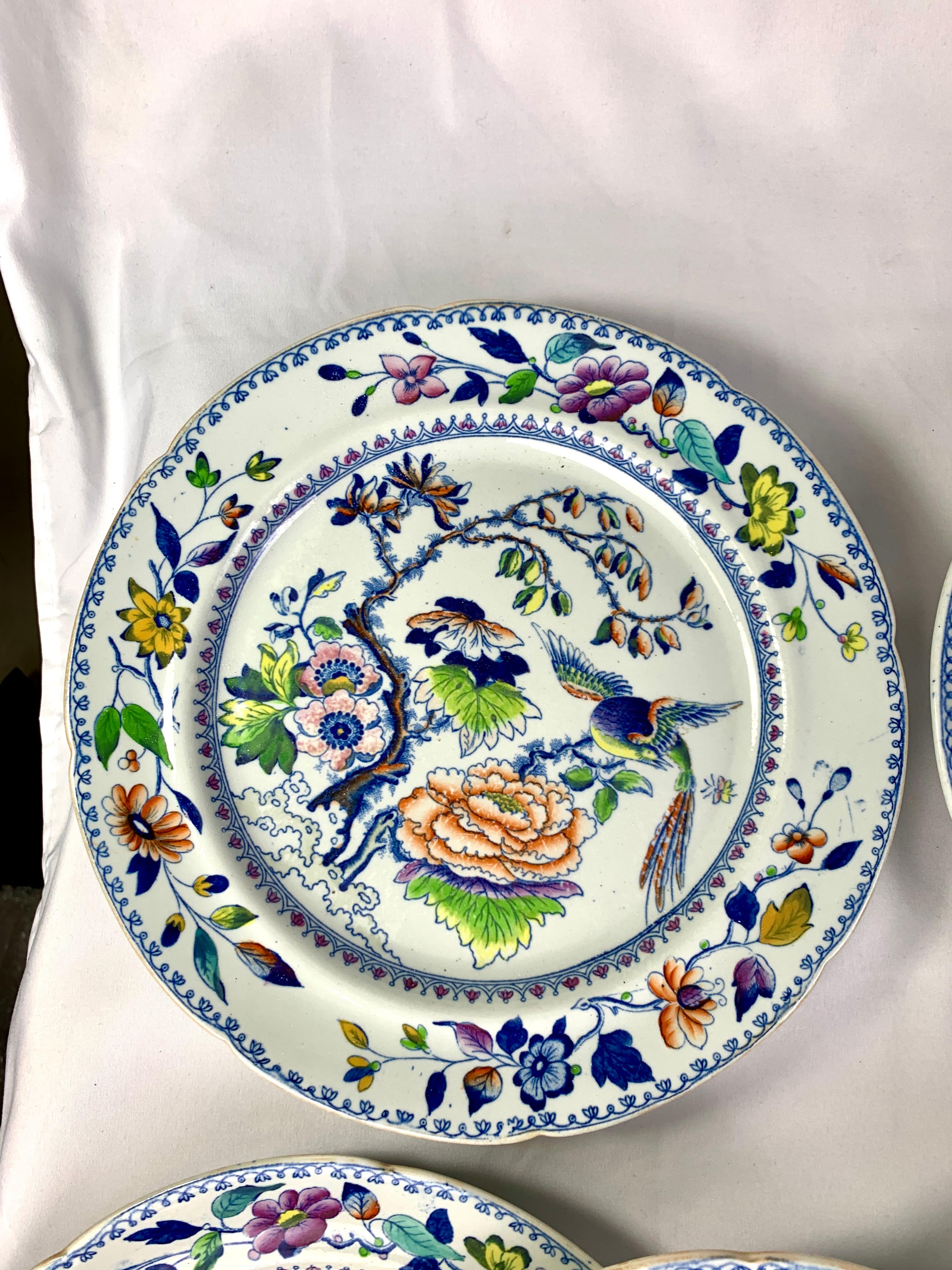 English Eight Flying Bird Plates by Davenport England Circa 1840