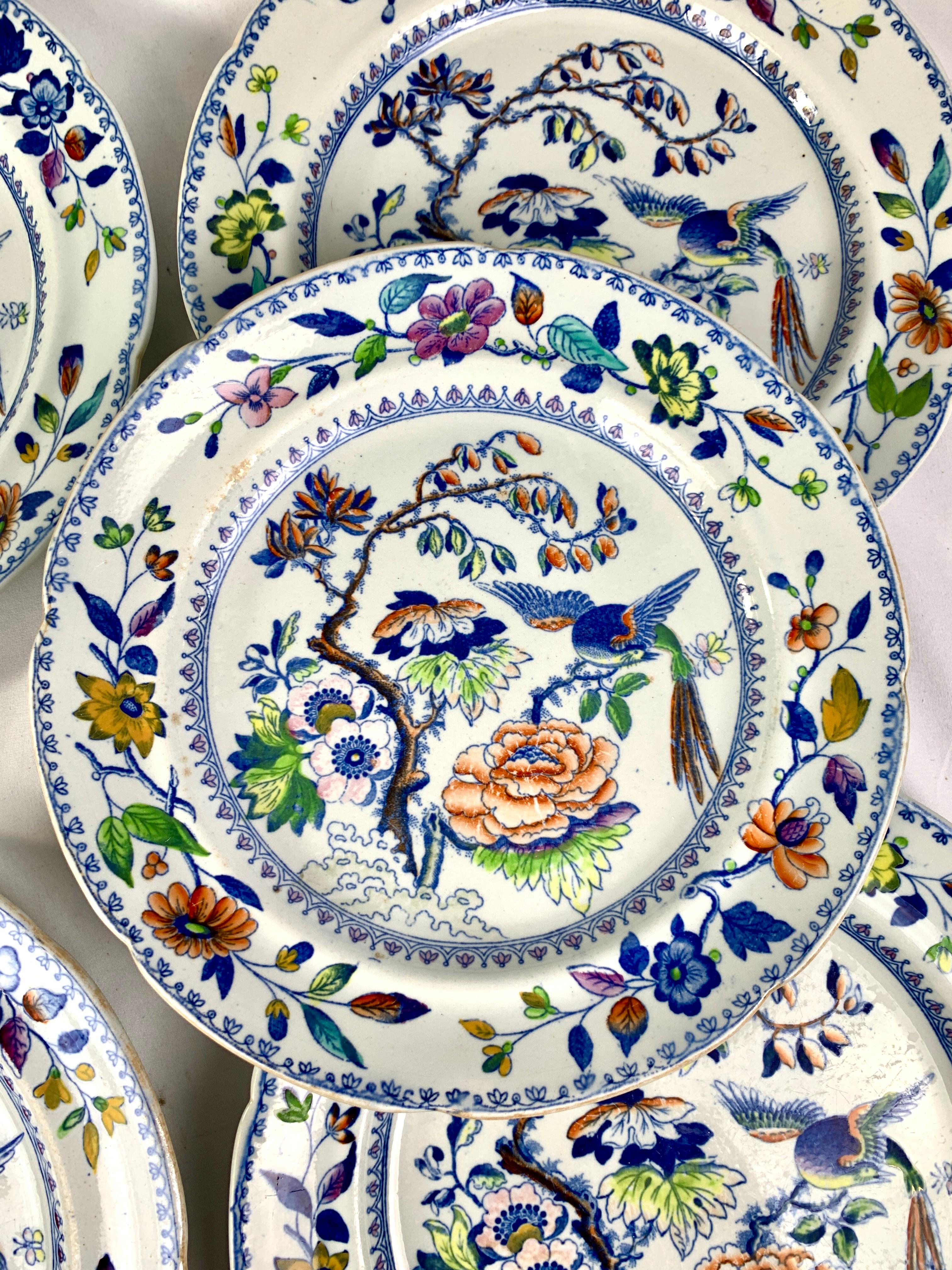 Ironstone Eight Flying Bird Plates by Davenport England Circa 1840