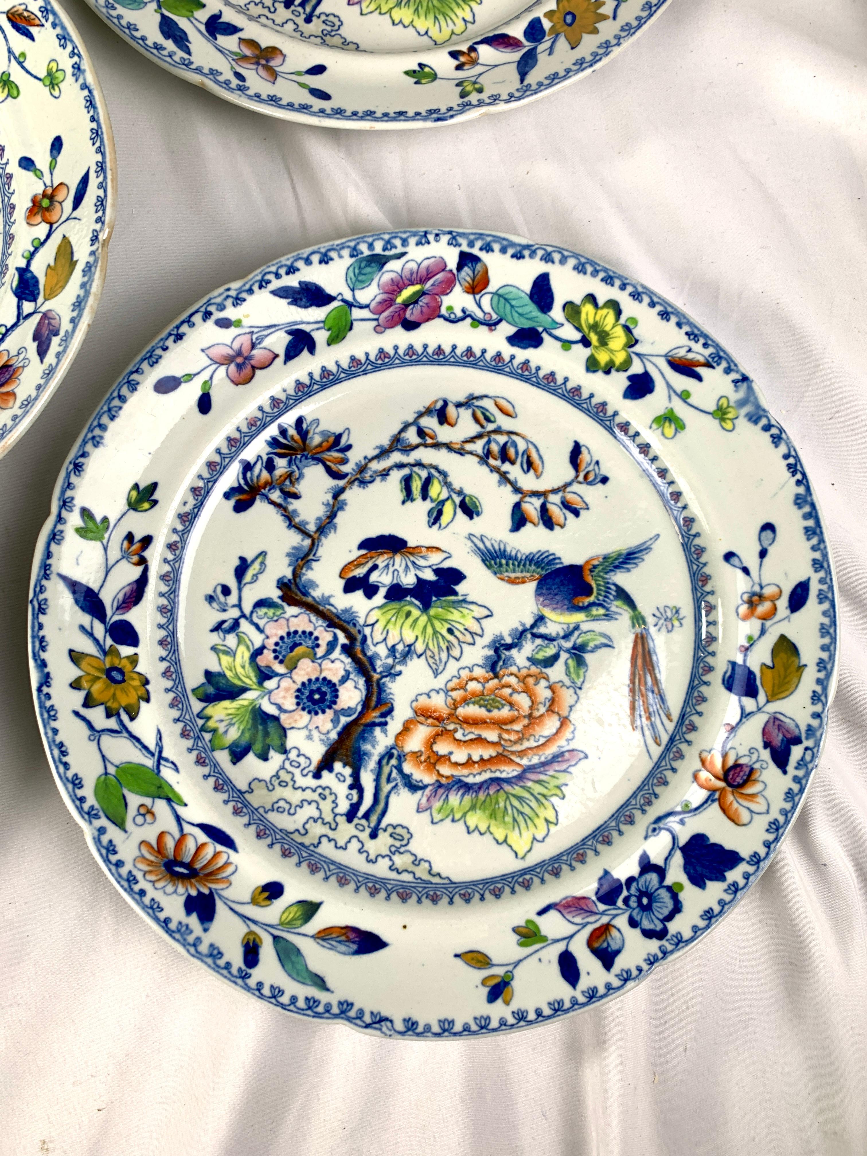 Eight Flying Bird Plates by Davenport England Circa 1840 1