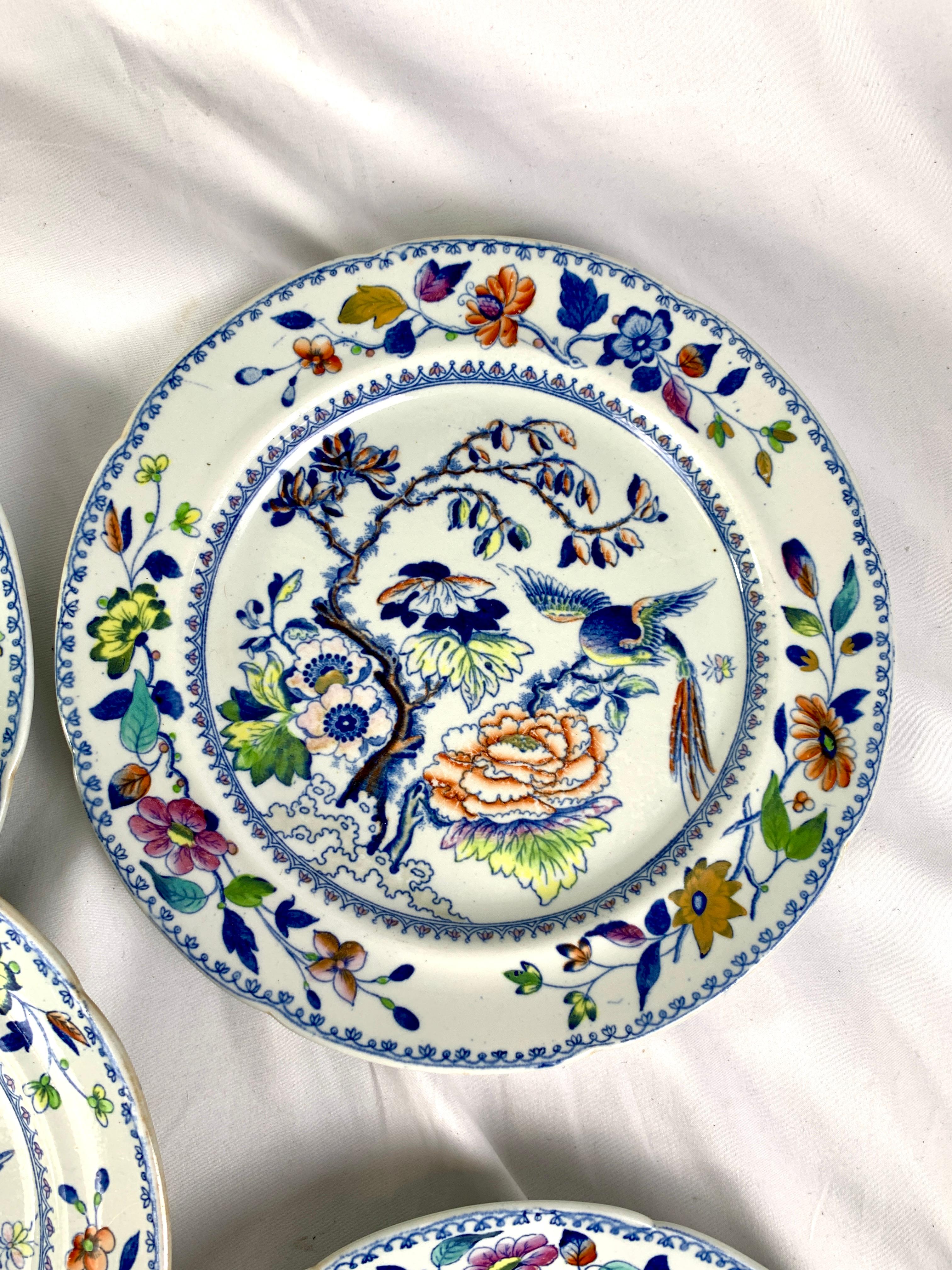 Eight Flying Bird Plates by Davenport England Circa 1840 2