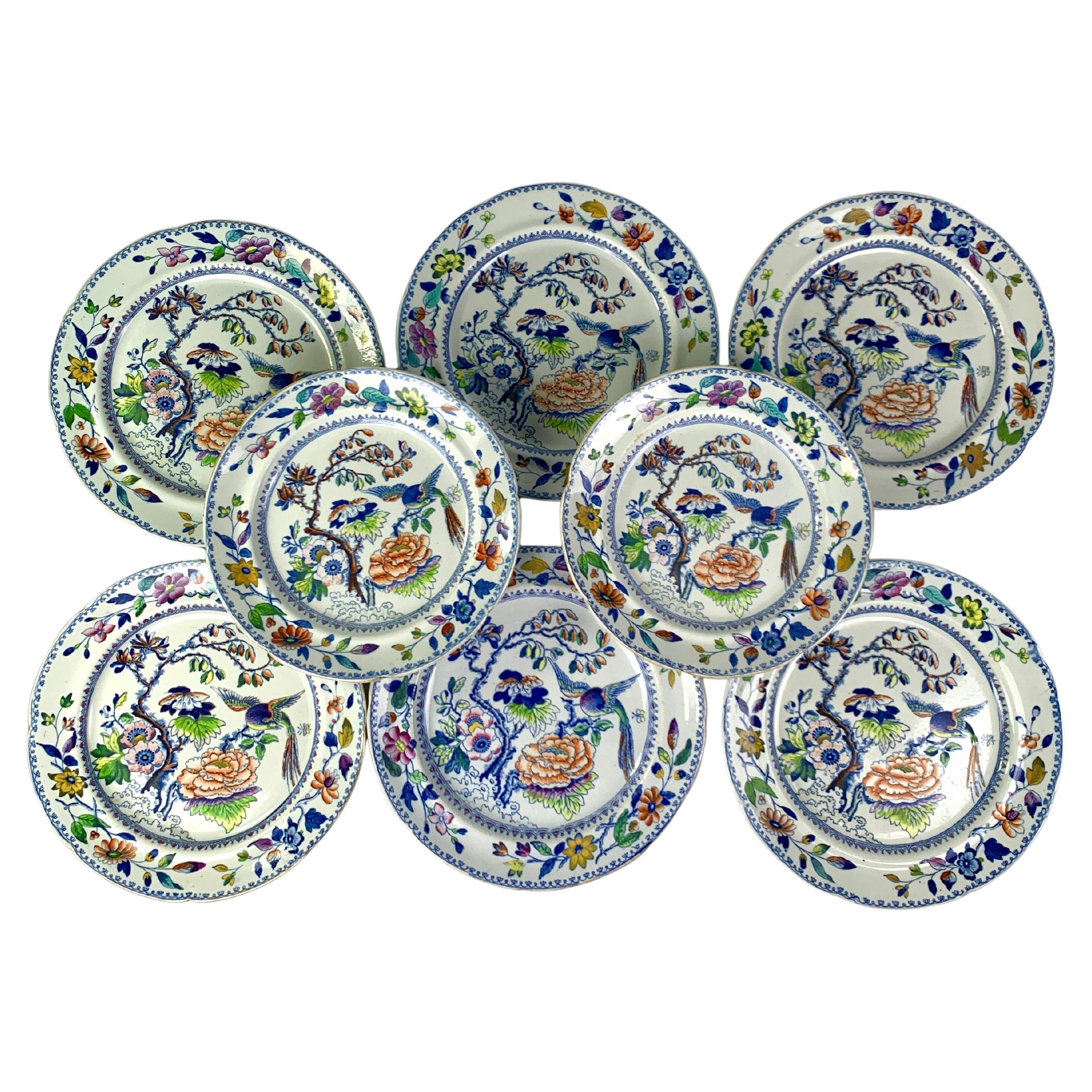 Eight Flying Bird Plates by Davenport England Circa 1840