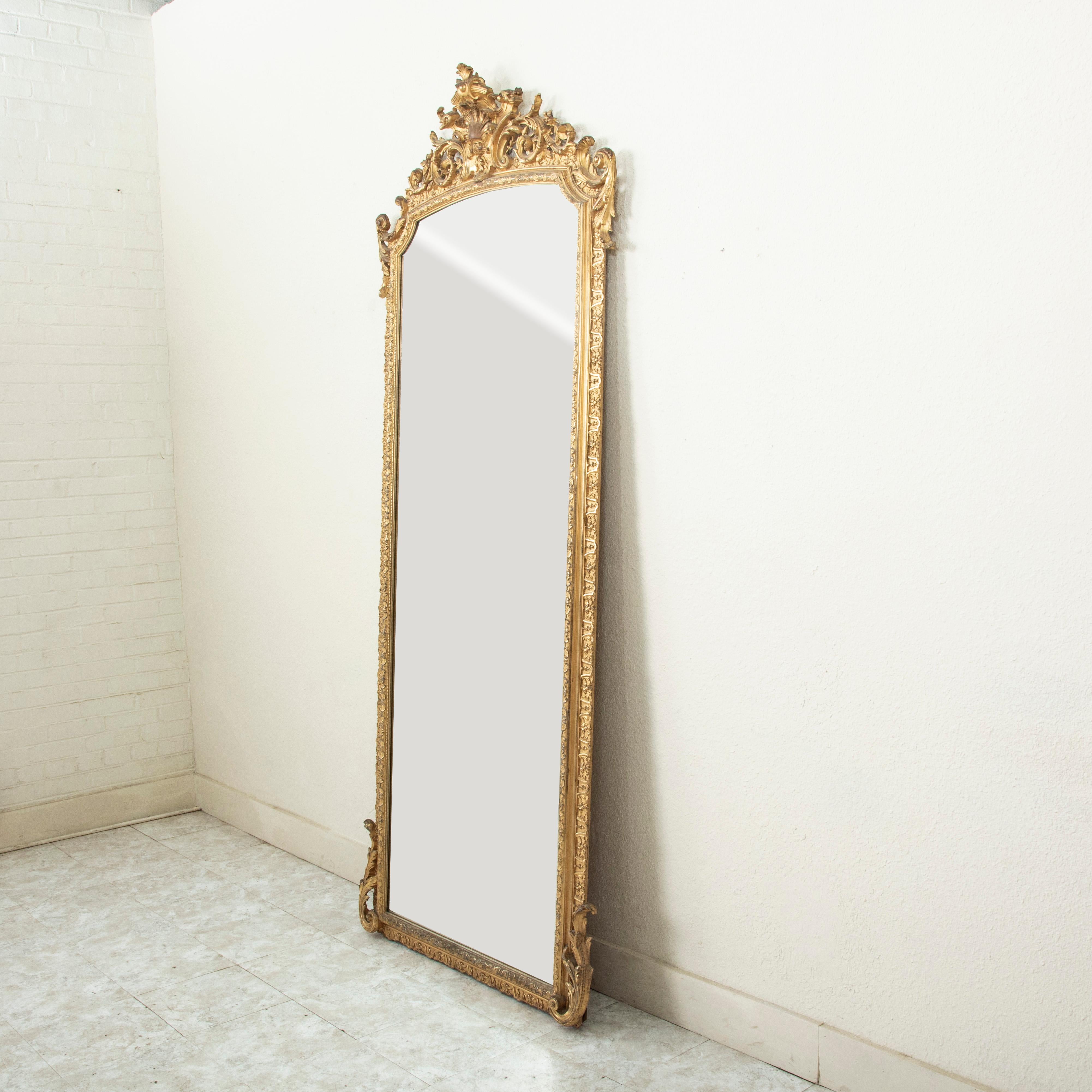 Trovato in un castello nella Valle della Loira, questo specchio in legno dorato in stile Reggenza francese del XIX secolo raggiunge l'impressionante altezza di due metri e mezzo. Il suo vetro smussato è circondato da dettagli a volute e foglie