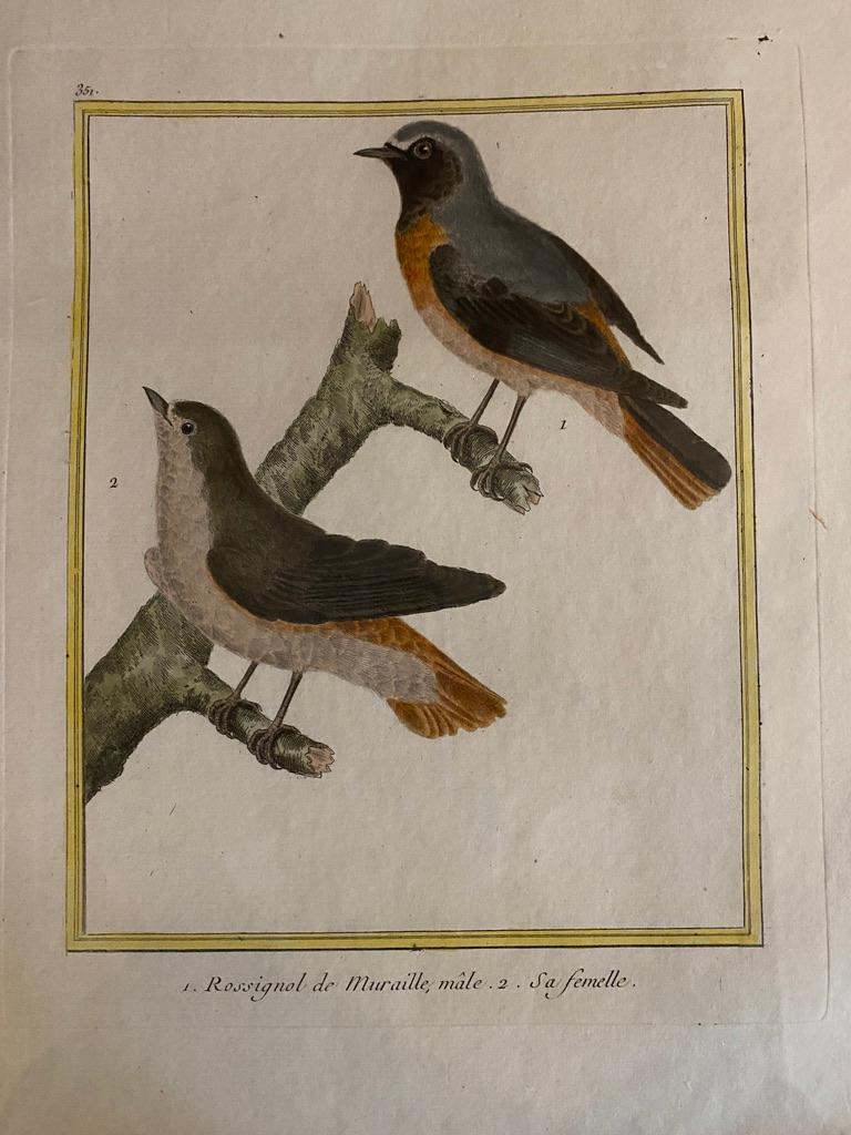 Paper Eight Framed Hand Colored Engravings of Birds by Martinet